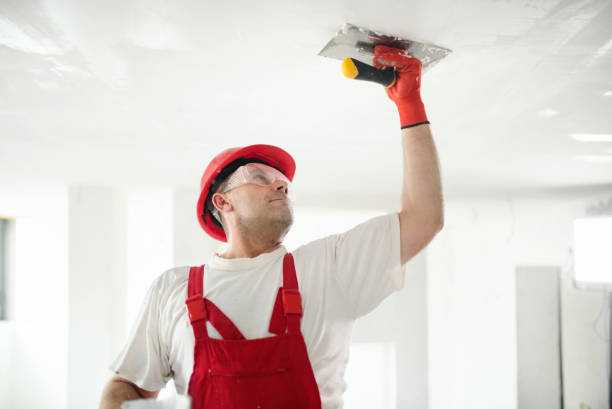 Best Commercial Painting  in Doylestown, OH